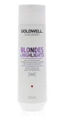 Geltonus tonus šalinantis šampūnas šviesiems plaukams Goldwell Dualsenses Blondes Highlights 250 ml kaina ir informacija | Goldwell Plaukų priežiūrai | pigu.lt