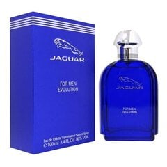 Jaguar for Men Evolution EDT для мужчин 100 мл цена и информация | Мужские духи | pigu.lt