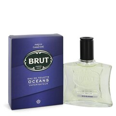 Tualetinis vanduo Brut Oceans EDT vyrams 100 ml цена и информация | Мужские духи | pigu.lt