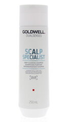 Šampūnas Goldwell Dualsenses Deep Cleansing, 250 ml kaina ir informacija | Šampūnai | pigu.lt