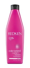Šampūnas dažytiems plaukams Redken Color Extend Magnetics 300 ml kaina ir informacija | Šampūnai | pigu.lt