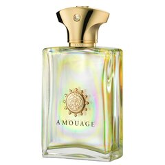 Парфюмированная вода Amouage Fate for Men EDP для мужчин, 100 мл цена и информация | Мужские духи | pigu.lt