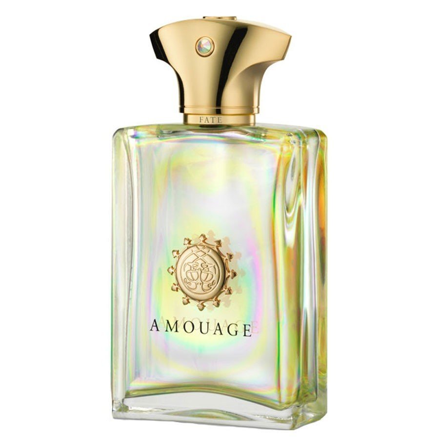 Kvapusis vanduo Amouage Fate Man EDP vyrams 100 ml цена и информация | Kvepalai vyrams | pigu.lt