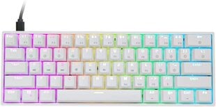 HK Gaming Gateron Optical Black Switches kaina ir informacija | Klaviatūros | pigu.lt