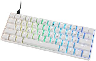 HK Gaming Gateron Optical Black Switches kaina ir informacija | Klaviatūros | pigu.lt