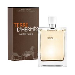 Hermes Terre D Hermes Eau Tres Fraiche EDT для мужчин 125 мл цена и информация | Мужские духи | pigu.lt