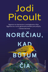 Norėčiau, kad būtum čia цена и информация | Романы | pigu.lt