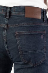 Джинсы Blk Jeans 83865183319210-32/34 цена и информация | Мужские джинсы | pigu.lt