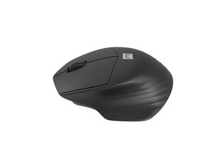 Natec Mouse Siskin 2 	Wireless цена и информация | Мыши | pigu.lt