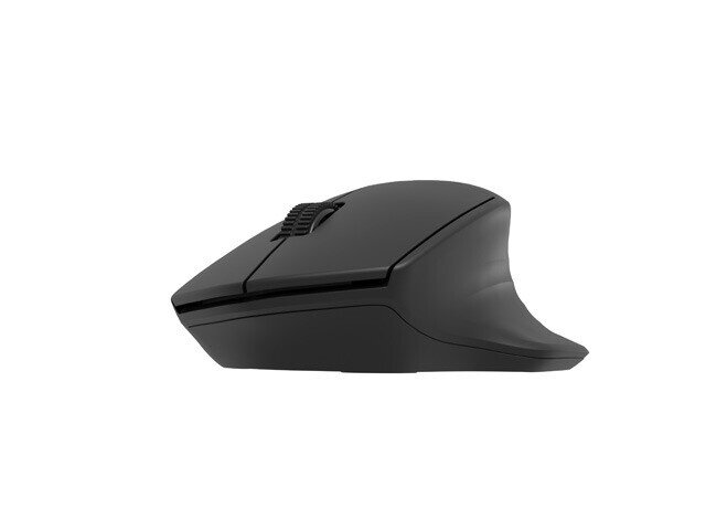 Natec Mouse Siskin 2 	Wireless kaina ir informacija | Pelės | pigu.lt