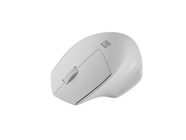 Natec Mouse Siskin 2 	Wireless цена и информация | Pelės | pigu.lt