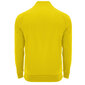 Megztinis megztinis Epiro, geltonas цена и информация | Megztiniai vyrams | pigu.lt