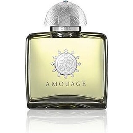 Kvapusis vanduo Amouage Ciel pour Femme EDP moterims 100 ml kaina ir informacija | Kvepalai moterims | pigu.lt