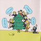 5CD Sufjan Stevens „Songs For Christmas“ kaina ir informacija | Vinilinės plokštelės, CD, DVD | pigu.lt