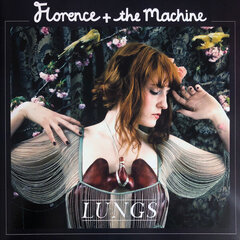 Florence And The Machine - Lungs, LP, виниловая пластинка, 12" vinyl record цена и информация | Виниловые пластинки, CD, DVD | pigu.lt