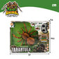 Radijo bangomis valdoma tarantula, 23 cm CB Toys, 4+ kaina ir informacija | Žaislai berniukams | pigu.lt