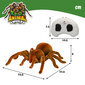 Radijo bangomis valdoma tarantula, 23 cm CB Toys, 4+ kaina ir informacija | Žaislai berniukams | pigu.lt