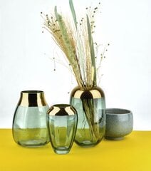 Serenite vaza, 19.5cm цена и информация | Вазы | pigu.lt