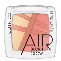 Skaistalai Catrice Air Blush Glow 5,5 g 030 цена и информация | Бронзеры (бронзаторы), румяна | pigu.lt