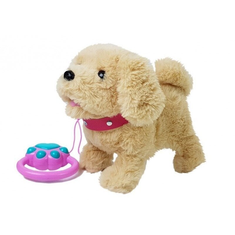 Interaktyvus šuniukas su priedais Lean Toys kaina ir informacija | Minkšti (pliušiniai) žaislai | pigu.lt