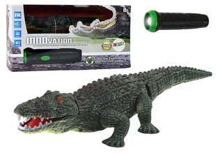 Lean toys Nuotoliniu būdu valdomas krokodilas su žibintuvėliu kaina ir informacija | Lavinamieji žaislai | pigu.lt