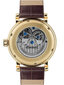 Laikrodis vyrams Ingersoll I12402 kaina ir informacija | Vyriški laikrodžiai | pigu.lt