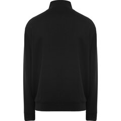 Мужской свитер с молнией ULAN, черный цена и информация | Мужские свитера | pigu.lt