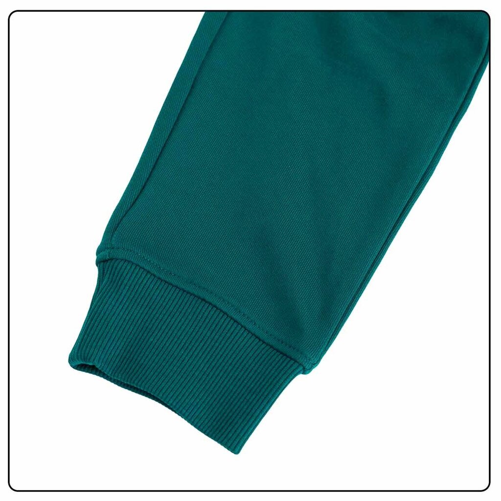 Tommy Hilfiger vyriškos sportinės kelnės 49654, žalios kaina ir informacija | Sportinė apranga vyrams | pigu.lt