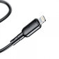 Vipfan, USB/Lightning, 1 m цена и информация | Kabeliai ir laidai | pigu.lt