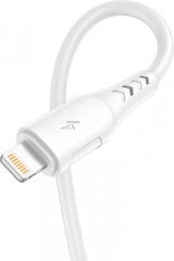 Vipfan, USB/Lightning, 1 m цена и информация | Кабели и провода | pigu.lt