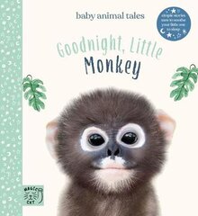 Goodnight, Little Monkey: Simple stories sure to soothe your little one to sleep kaina ir informacija | Knygos paaugliams ir jaunimui | pigu.lt