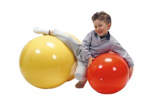 Dvigubas kamuolys Physio Roll 30 kaina ir informacija | Gimnastikos kamuoliai | pigu.lt
