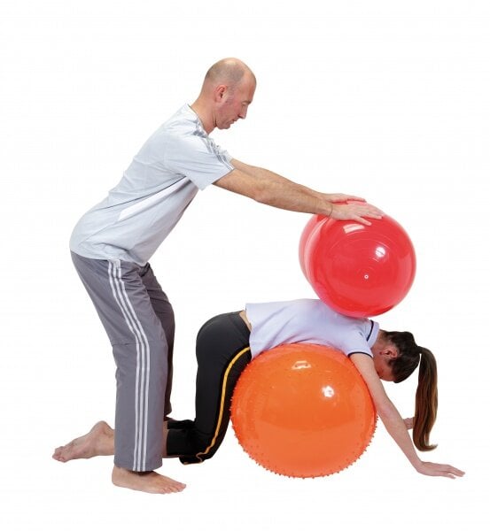 Dvigubas kamuolys Physio Roll 40 kaina ir informacija | Gimnastikos kamuoliai | pigu.lt