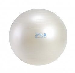 Fit Ball мяч 55 цена и информация | Гимнастические мячи | pigu.lt