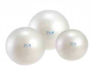 Fit Ball kamuolys 65 kaina ir informacija | Gimnastikos kamuoliai | pigu.lt