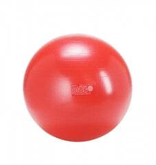 Gymnic Classic мяч 55 красный цена и информация | Гимнастические мячи | pigu.lt