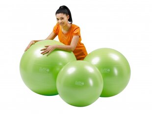 Мяч Gymnic Plus 55 зеленый цвет цена и информация | Гимнастические мячи | pigu.lt