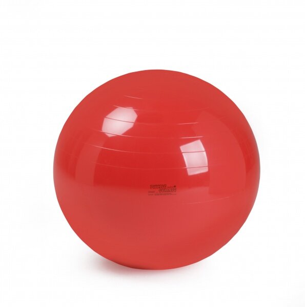 Physio Gymnic kamuolys 85 cm kaina ir informacija | Gimnastikos kamuoliai | pigu.lt