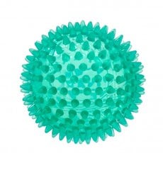 REFLEXBALL Массажный мяч с шипами диаметром 10 см цена и информация | Аксессуары для массажа | pigu.lt
