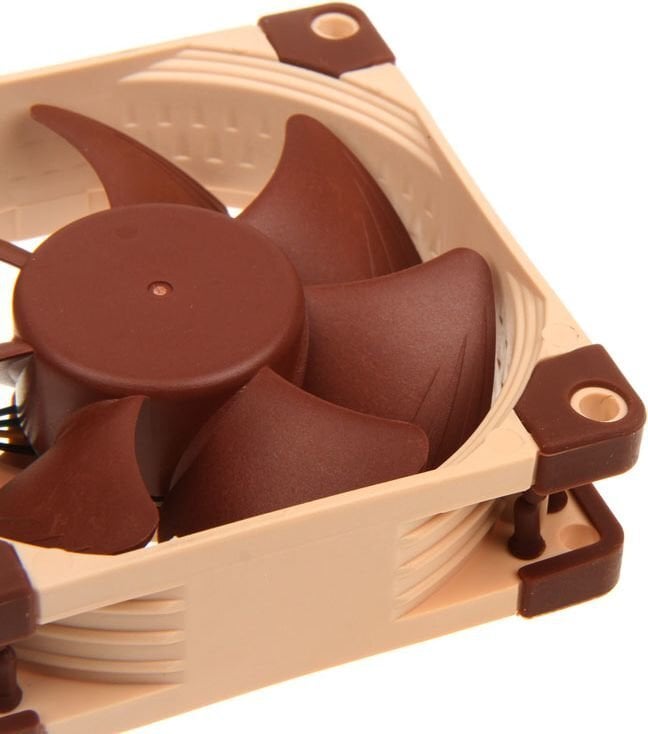 Noctua NF-A8 PWM kaina ir informacija | Kompiuterių ventiliatoriai | pigu.lt