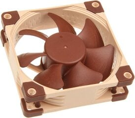 Noctua NF-A8 PWM цена и информация | Компьютерные вентиляторы | pigu.lt