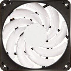 SilverStone SST-FN123 kaina ir informacija | Kompiuterių ventiliatoriai | pigu.lt
