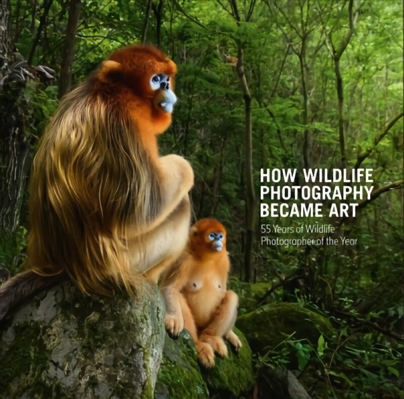 How Wildlife Photography Became Art: 55 Years of Wildlife Photographer of the Year kaina ir informacija | Fotografijos knygos | pigu.lt