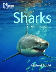 Sharks Revised and reformatted ed with the latest research, new images and up-to-date text цена и информация | Книги о питании и здоровом образе жизни | pigu.lt