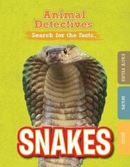 Snakes цена и информация | Книги для подростков и молодежи | pigu.lt