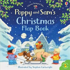 Poppy and Sam's Lift-the-Flap Christmas kaina ir informacija | Knygos mažiesiems | pigu.lt