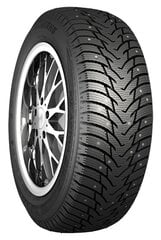 Nankang dygliuotas 195/65R15 SW-8 dygliuotas 95T XL цена и информация | Зимняя резина | pigu.lt