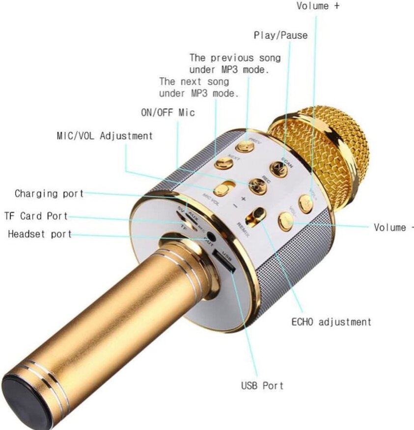 WS-858 belaidis karaoke mikrofonas- Bluetooth rankinis garsiakalbis, auksinis цена и информация | Mikrofonai | pigu.lt