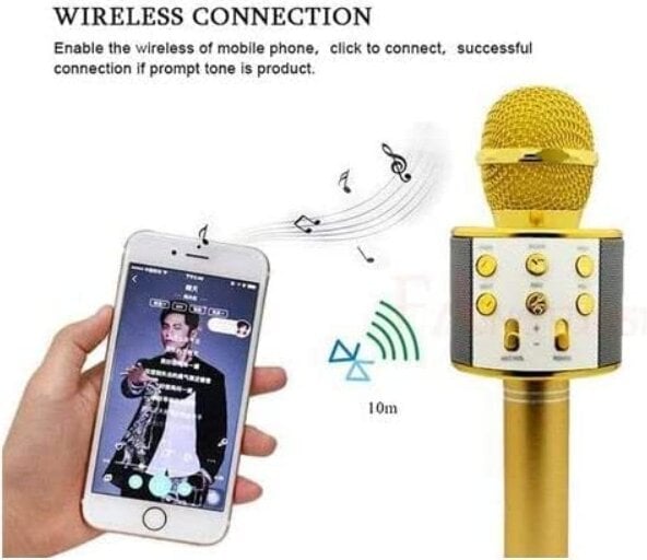WS-858 belaidis karaoke mikrofonas- Bluetooth rankinis garsiakalbis, auksinis kaina ir informacija | Mikrofonai | pigu.lt