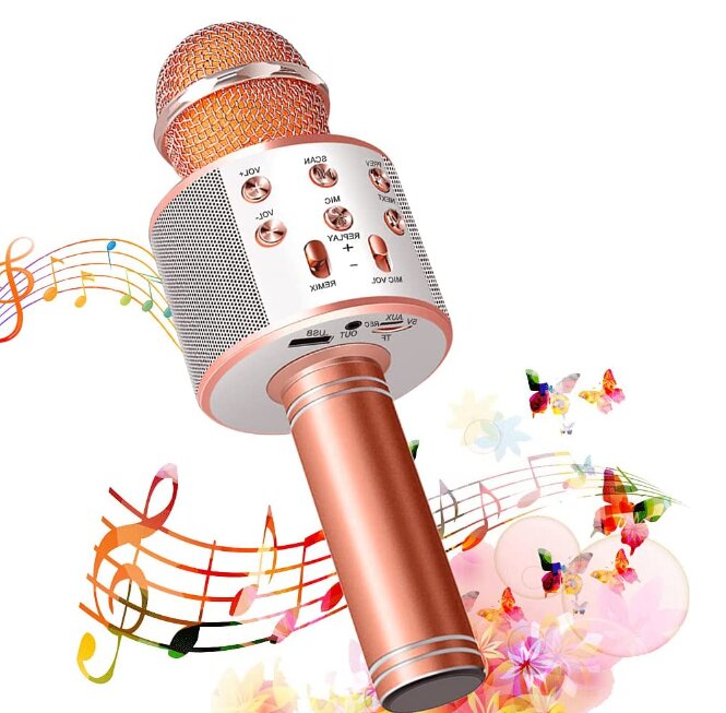 WS-858 belaidis karaoke mikrofonas- Bluetooth rankinis garsiakalbis, rožinis auksas цена и информация | Mikrofonai | pigu.lt